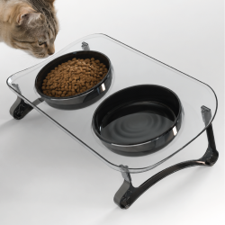 Kedi Köpek Mama ve Su Kabı, Çift Kaseli 15° Eğimli Yükseltilmiş Mama Kabı 