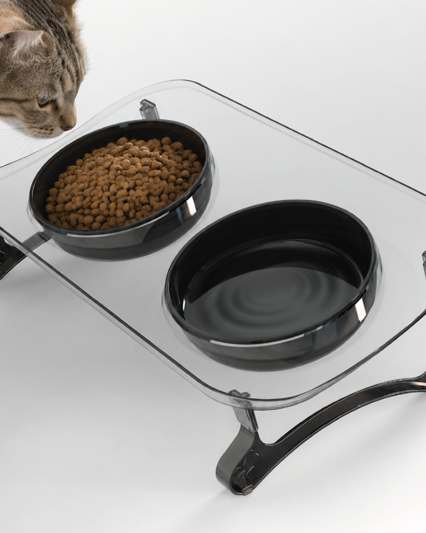 Kedi Köpek Mama ve Su Kabı, Çift Kaseli 15° Eğimli Yükseltilmiş Mama Kabı 