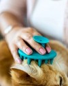 Yumuşak Silikon Uçlu Kedi ve Köpek Tarağı – Kullanımı Kolay Silikon Taraklar, Kedi Silikon Tarak Masaj Tarağı Modeli, Yumuşak Dokulu Silikon Kedi Tarağı  ATAPET (Mavi)