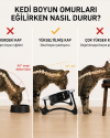 Kedi Mama Kabı, Kedi Köpek Mama ve Su Kabı, Çift Kaseli 15° Eğimli Yükseltilmiş Mama Kabı Kedi Mama Kabı, Kedi Köpek Mama ve Su Kabı, Çift Kaseli 15° Eğimli Yükseltilmiş Mama Kabı