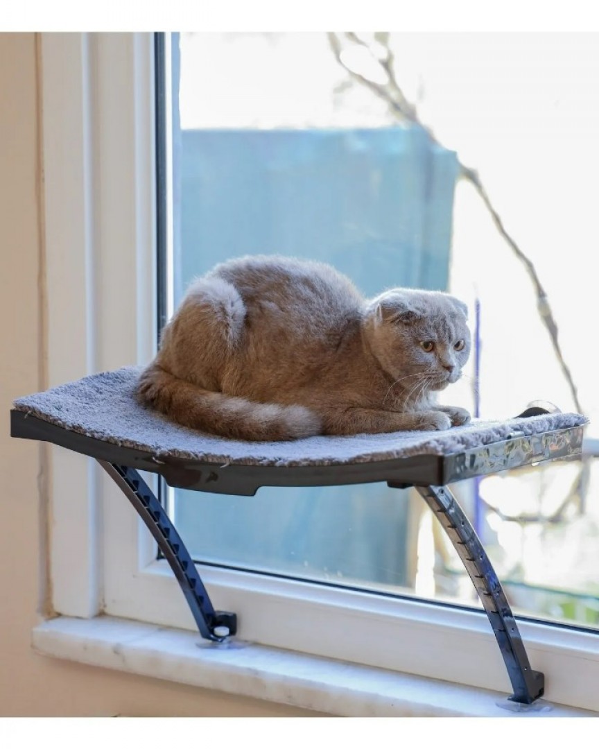 Plastik Kedi Yatağı Ayakları