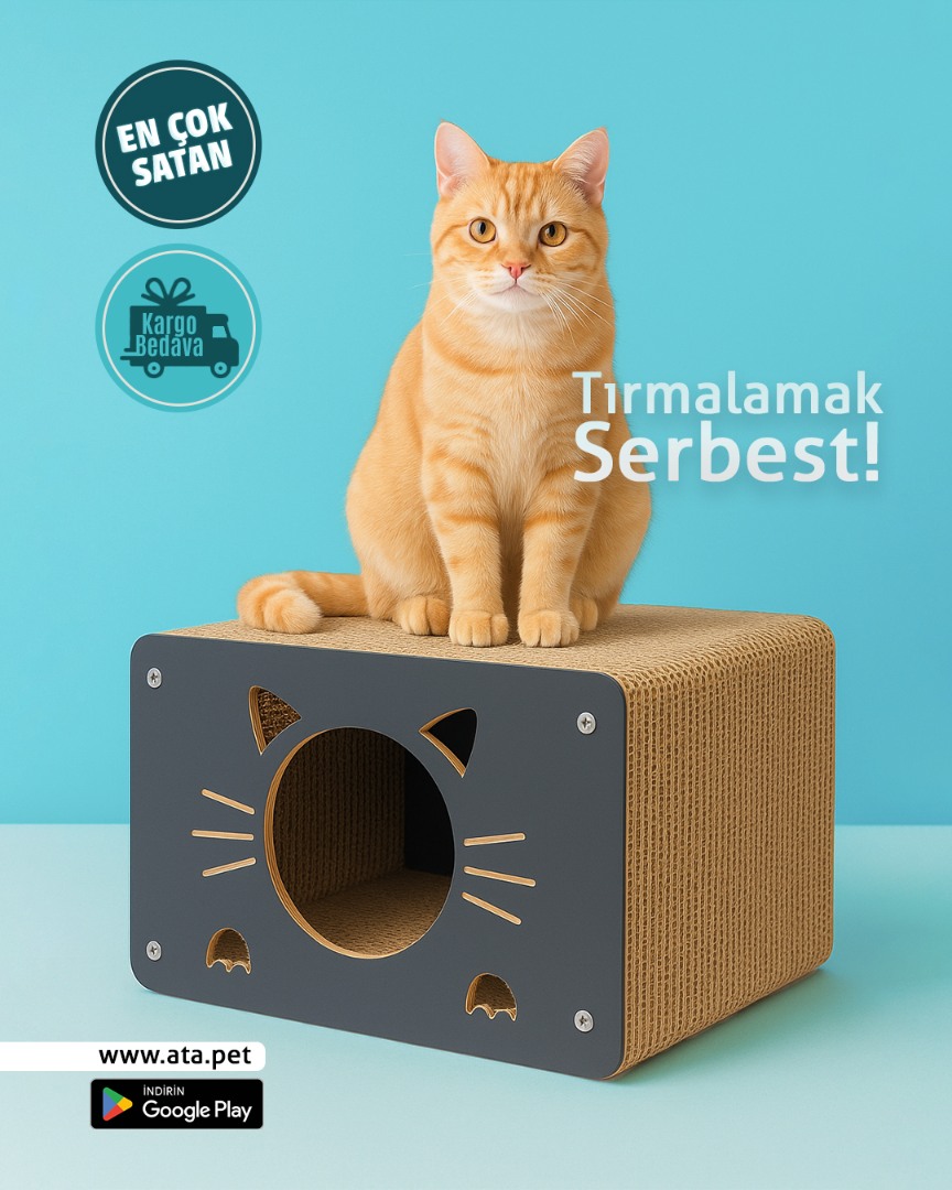 Ahşap kedi ev Doğal karton Tırmalama kedi Evi Büyük Boy Ahşap Kedi Evleri (Antrasit/ Karton) Kedi Evi Kapalı Evcil Hayvan Tırmalama Evi Ahşap Kedi Ev Yatak Tırmalama Kedi Kanepesi ATAPET