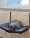 Kalorifer İçin Plastik Kedi Yatağı – Kedi Petek Yatağı, Kedi Kalorifer Petek Yatağı, Kedi Kalorifer Yatağı ve Kedi Petek Üzerine Yerleştirilebilen Rahat ve Dayanıklı Yatak Modeli (Siyah) ATAPET