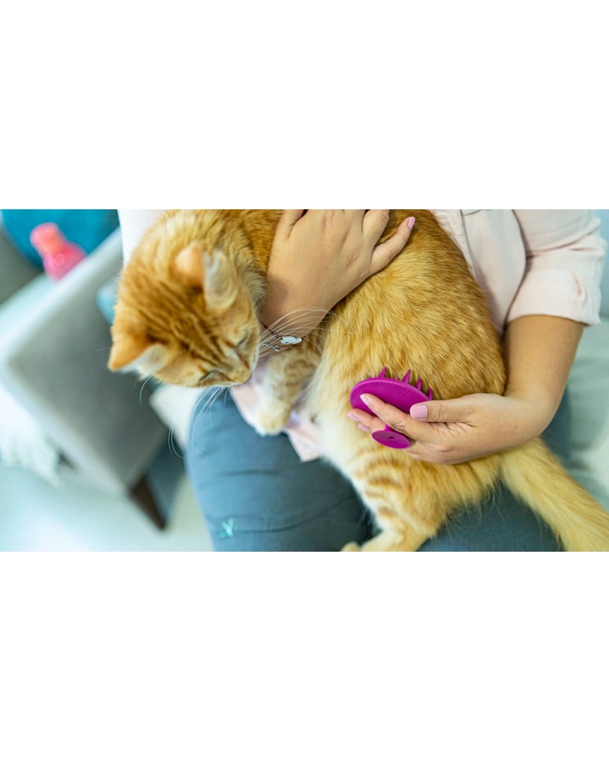 Silikon Kedi ve Köpek Masaj Tarağı Silikon Kedi ve Köpek Masaj Tarağı