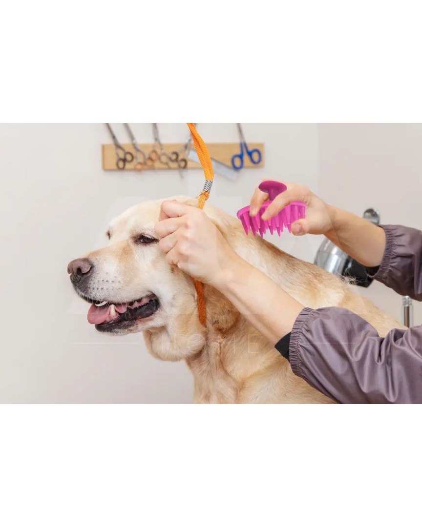 Yumuşak Silikon Uçlu Kedi ve Köpek Tarağı – Kullanımı Kolay Silikon Taraklar, Kedi Silikon Tarak Masaj Tarağı Modeli, Yumuşak Dokulu Silikon Kedi Tarağı  ATAPET (Pembe)
