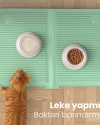 Silikon Kedi Kumu Paspası Yeşil  Yıkanabilir Kedi Tuvaleti Matı 40x60  Kedi Mama Matı