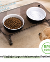 Kedi Mama Kabı, Kedi Köpek Mama ve Su Kabı, Çift Kaseli 15° Eğimli Yükseltilmiş Mama Kabı Kedi Mama Kabı, Kedi Köpek Mama ve Su Kabı, Çift Kaseli 15° Eğimli Yükseltilmiş Mama Kabı