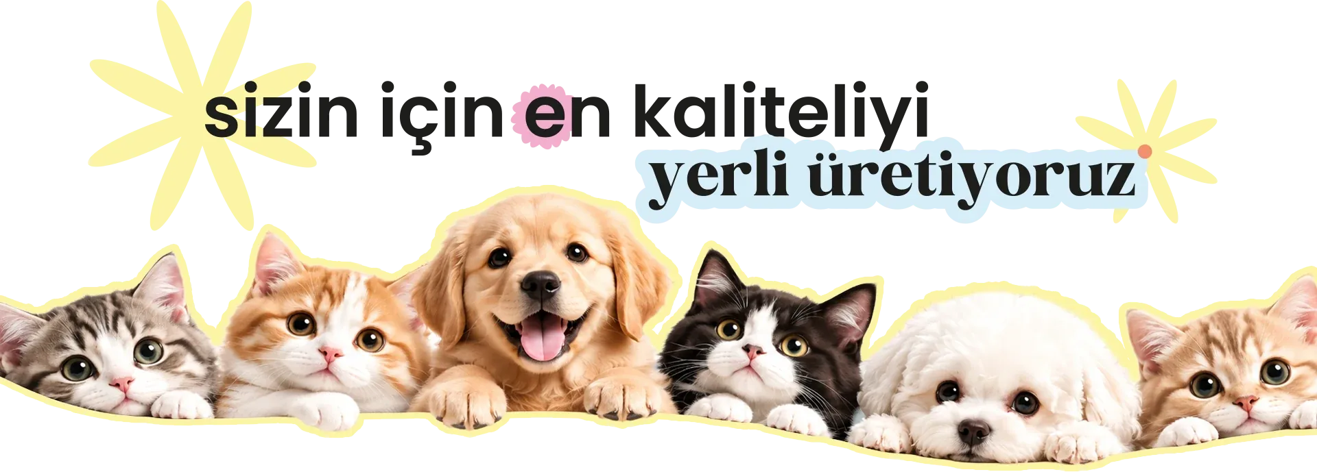 Kediler ve köpekler: sizin için en kaliteliyi yerli üretiyoruz